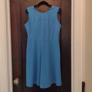 Cerulean Blue Sleeveless A-Line Sheath Dress 14P